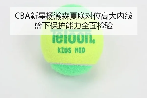 CBA新星杨瀚森夏联对位高大内线篮下保护能力全面检验