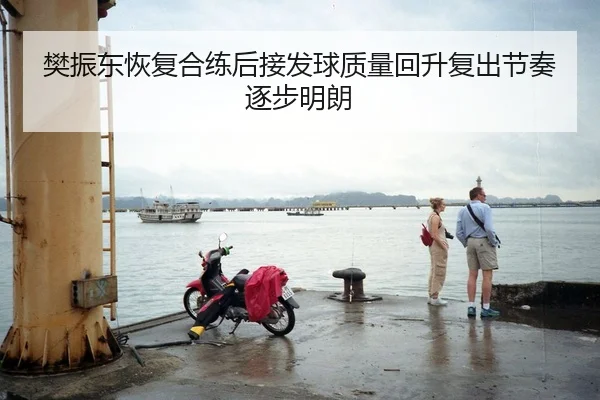 樊振东恢复合练后接发球质量回升复出节奏逐步明朗