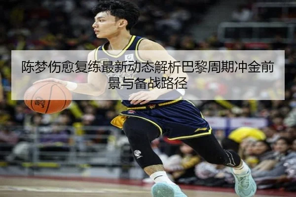 陈梦伤愈复练最新动态解析巴黎周期冲金前景与备战路径